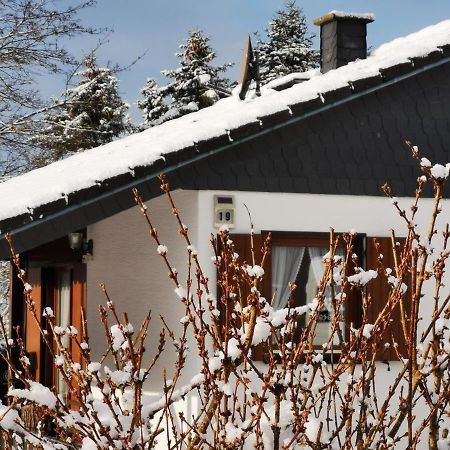 Bb19 Eifel-Ferienhaus Am Moseltal Mit Saunahaus Beuren  Экстерьер фото