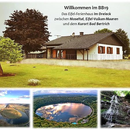 Bb19 Eifel-Ferienhaus Am Moseltal Mit Saunahaus Beuren  Экстерьер фото