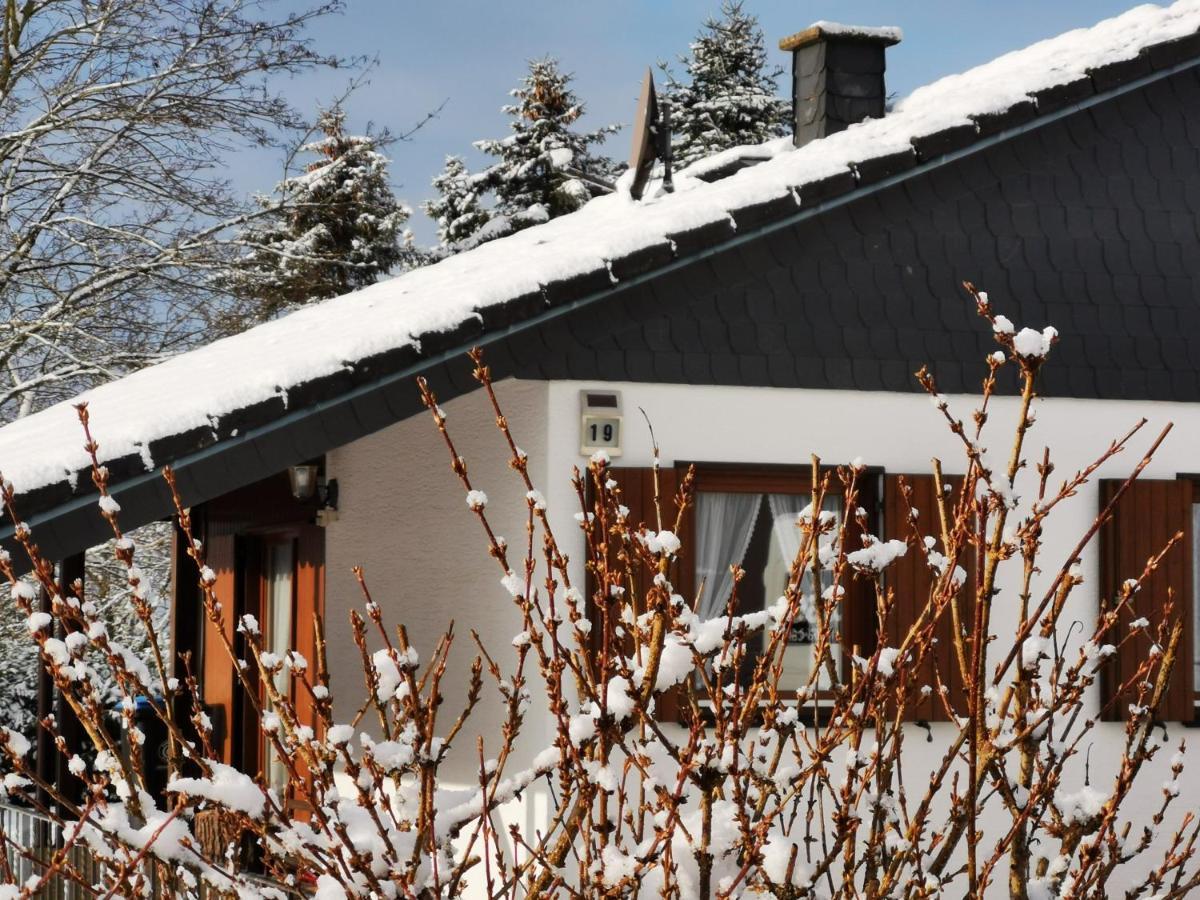 Bb19 Eifel-Ferienhaus Am Moseltal Mit Saunahaus Beuren  Экстерьер фото