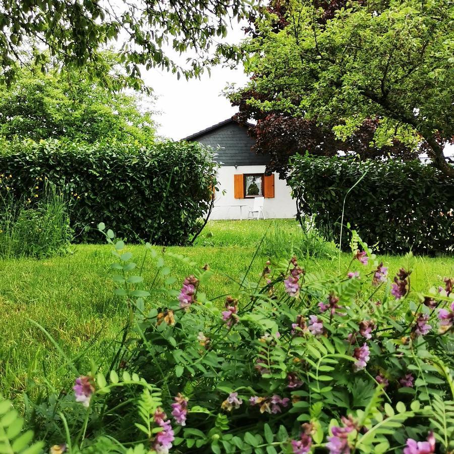 Bb19 Eifel-Ferienhaus Am Moseltal Mit Saunahaus Beuren  Экстерьер фото