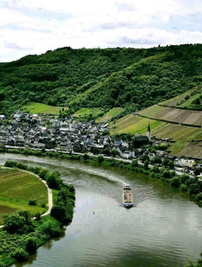 Bb19 Eifel-Ferienhaus Am Moseltal Mit Saunahaus Beuren  Экстерьер фото
